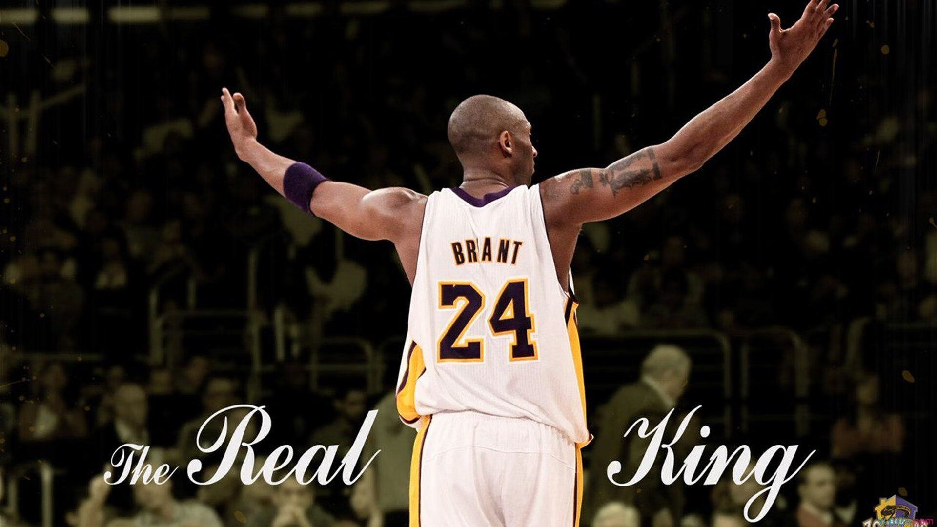 森林狼训练日球迷提前排队争睹球星风采，森林狼球员