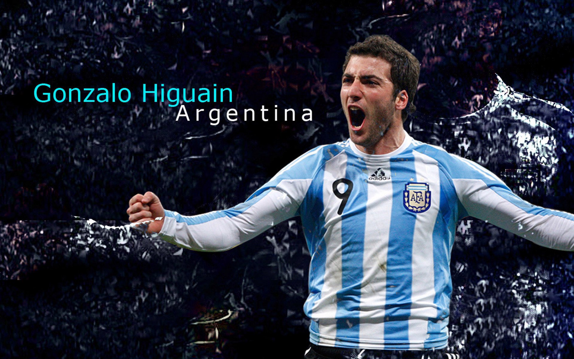 美国女子接力组合泳姿流畅获好评，美国女子接力队员